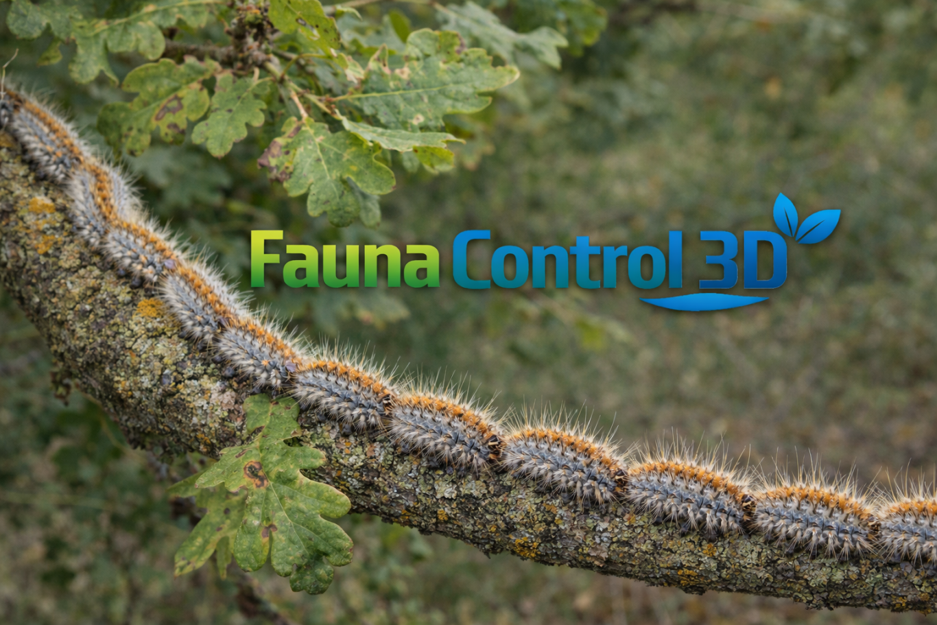 lutte chenilles isère fauna control 3D