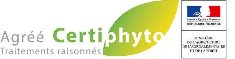 Traitement Termites & Bois Isère | Fauna Control 3D