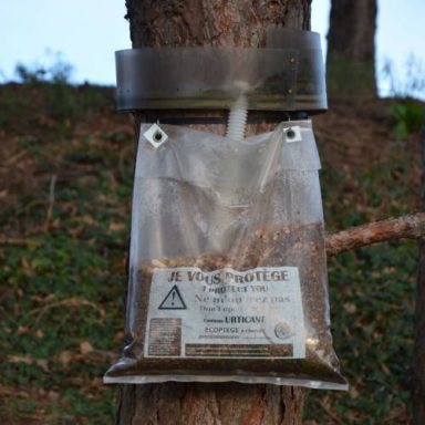 Lutte contre les chenilles processionnaires en isère Lutte contre les chenilles processionnaires en isère fauna control 3D