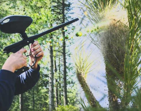 Lutte contre les chenilles processionnaires en isère paint ball fauna control 3D Lutte contre les chenilles processionnaires paint ballen isère fauna control 3D