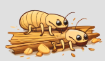 alt="Intervention anti-termites en Auvergne-Rhône-Alpes – Diagnostic et traitement certifié Fauna Control 3D"

alt="Traitement termites à Ga