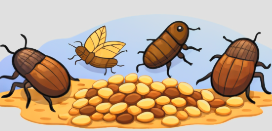 alt="Intervention anti-insectes des grains stockés en Auvergne-Rhône-Alpes – Diagnostic et traitement certifié Fauna Control 3D"