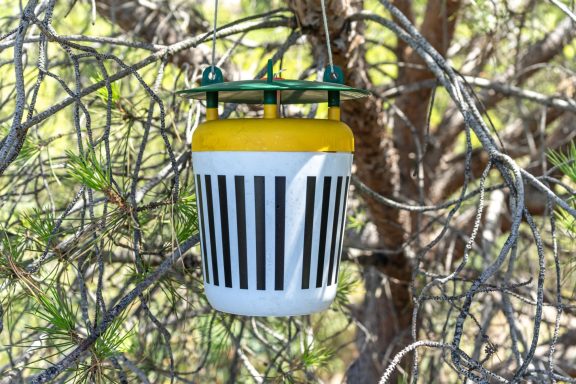 Lutte contre les chenilles processionnaires en isère Lutte contre les chenilles processionnaires en isère fauna control 3D